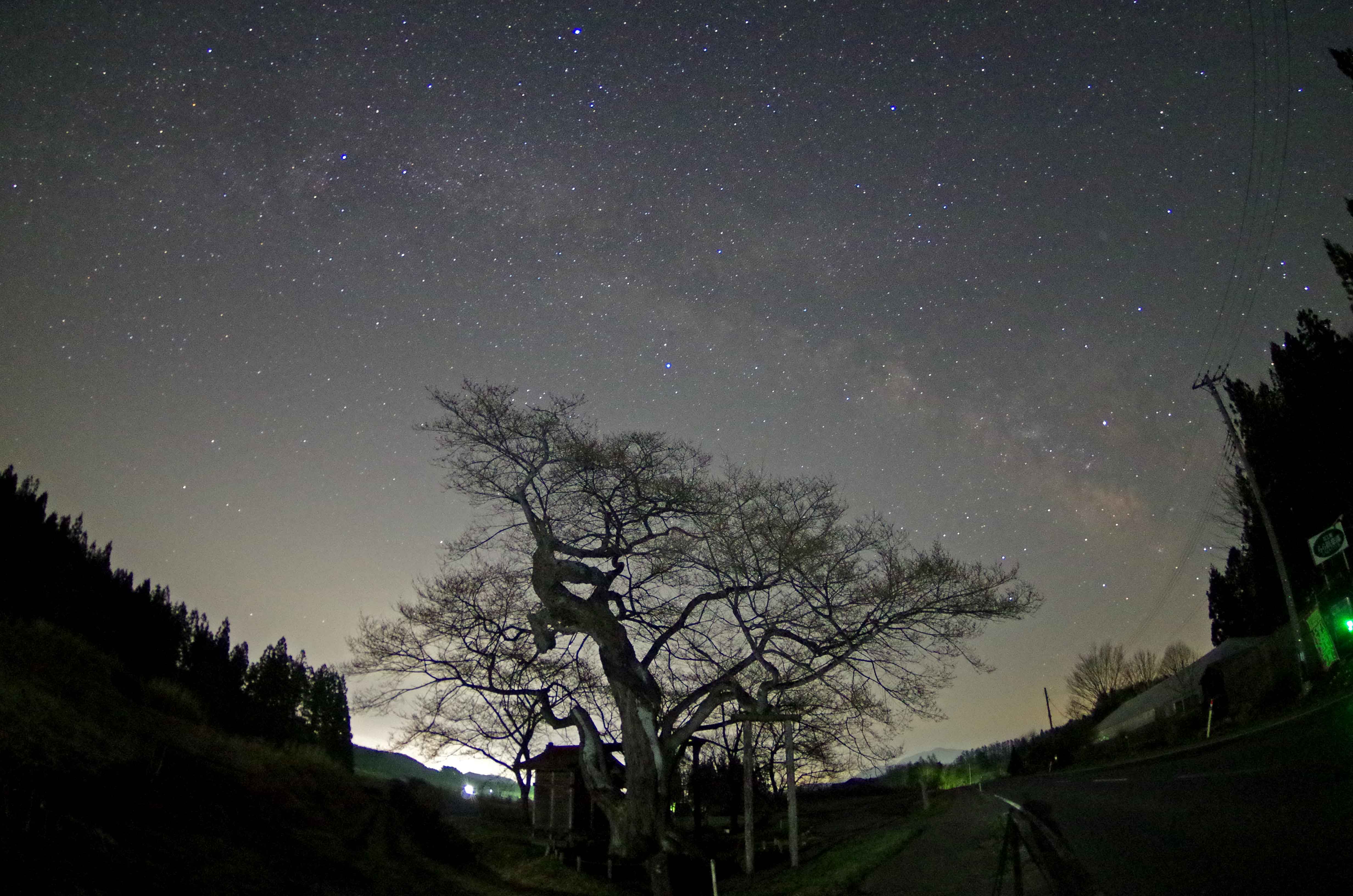 Et Place 星景 弘法桜